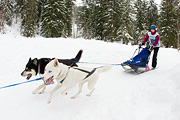 p-f.ch_120121_1353_0901_1D