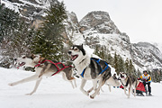 p-f.ch_120121_1354_0275_5D
