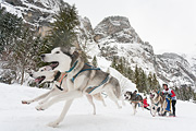 p-f.ch_120121_1354_0276_5D