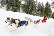 p-f.ch_120121_1354_0910_1D