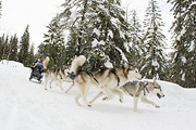 p-f.ch_120121_1359_0942_1D