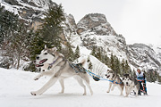p-f.ch_120121_1400_0278_5D