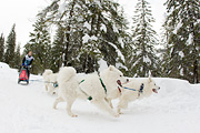 p-f.ch_120121_1400_0955_1D