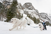 p-f.ch_120121_1401_0279_5D