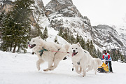 p-f.ch_120121_1402_0280_5D