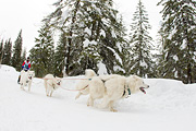 p-f.ch_120121_1402_0978_1D