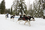 p-f.ch_120121_1402_0989_1D