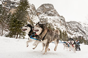 p-f.ch_120121_1403_0281_5D