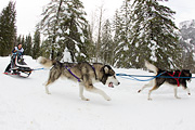 p-f.ch_120121_1403_0995_1D