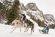 p-f.ch_120121_1418_0287_5D