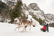p-f.ch_120121_1422_0290_5D