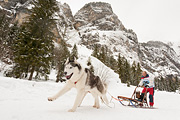 p-f.ch_120121_1425_0291_5D