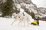 Kandersteg