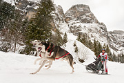 p-f.ch_120121_1426_0293_5D