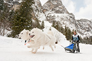 p-f.ch_120121_1433_0298_5D
