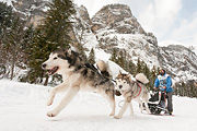 p-f.ch_120121_1435_0299_5D