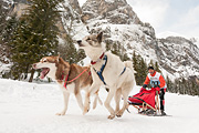 p-f.ch_120121_1435_0300_5D