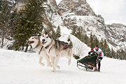 p-f.ch_120121_1437_0302_5D