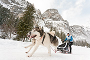 p-f.ch_120121_1439_0303_5D