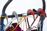 p-f.ch_120121_1522_1391_1D