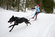 p-f.ch_120122_1032_1404_1D