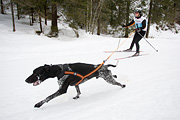 p-f.ch_120122_1033_1418_1D