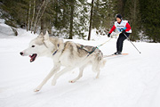 p-f.ch_120122_1034_1428_1D