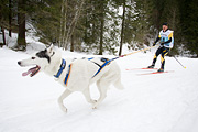 p-f.ch_120122_1035_1439_1D