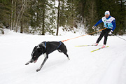 Kandersteg