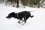 p-f.ch_120122_1036_1450_1D