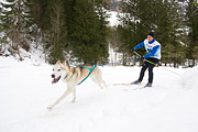 p-f.ch_120122_1037_1452_1D