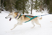p-f.ch_120122_1037_1455_1D
