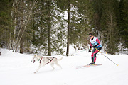 p-f.ch_120122_1041_1486_1D
