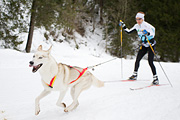 p-f.ch_120122_1043_1502_1D