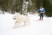 p-f.ch_120122_1045_1518_1D