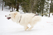 p-f.ch_120122_1045_1520_1D