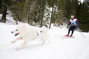 p-f.ch_120122_1045_1528_1D