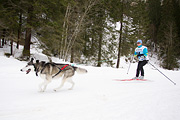 p-f.ch_120122_1048_1553_1D