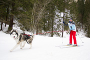 p-f.ch_120122_1053_1590_1D