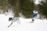 p-f.ch_120122_1053_1593_1D