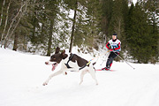 p-f.ch_120122_1054_1605_1D