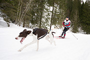 p-f.ch_120122_1054_1606_1D