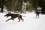p-f.ch_120122_1055_1621_1D