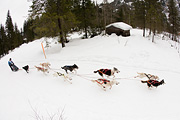 p-f.ch_120122_1105_0318_5D