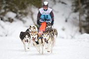 p-f.ch_120122_1108_1641_1D