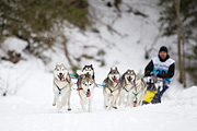 p-f.ch_120122_1110_1652_1D
