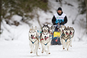 p-f.ch_120122_1110_1660_1D