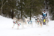 p-f.ch_120122_1110_1665_1D