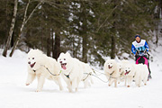 p-f.ch_120122_1119_1762_1D