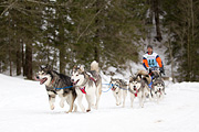 p-f.ch_120122_1122_1784_1D